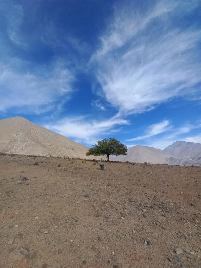 Campo De Cielo Mamalluca Valle De Elqui บิกุญญา ภายนอก รูปภาพ
